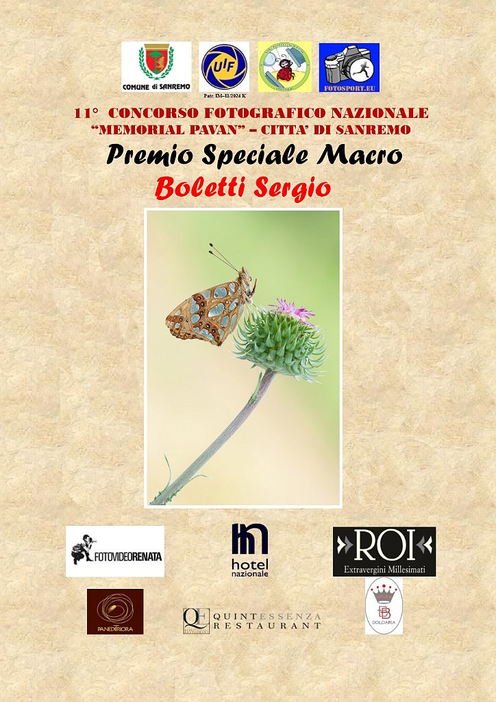 PREMIO SPECIALE MACRO BOLETTI SERGIO.jpg